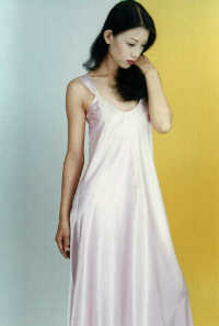 wst3049.jpg (13349 bytes)