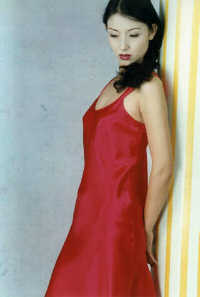 wst3050.jpg (14472 bytes)