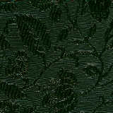 c_g8.jpg (14286 bytes)