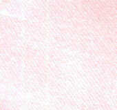 c_r2.jpg (12549 bytes)