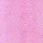 c_r2p.jpg (11956 bytes)