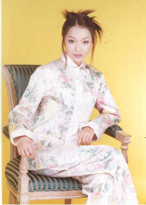 wga8060.jpg (27287 bytes)