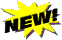 NEW6.GIF (2572 bytes)
