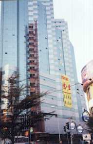 qingfada1.jpg (8689 bytes)